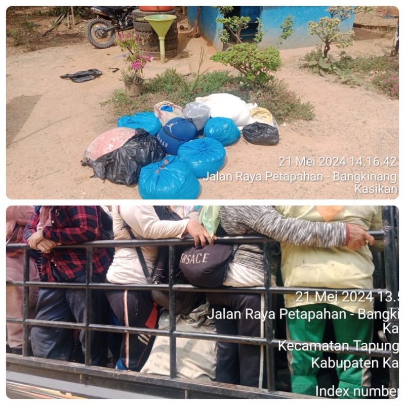 Pupuk Milik PTPN IV Palmco Regional Tiga Kebun Terantam di Botot Para Pekerja, Personil Terkesan Tutup Mata.