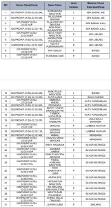 Ketua Panwas Desa Huta Pardomuan Fernanda Manik Pemilu Februari 2024 di Duga Besar Sudah Cacat