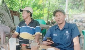 Lapor Pak Bupati Pelalawan,,!! Diduga PT Inti Indosawit Subur (IIS) Pekerjakan Orang Tampa Hak dan Jaminan Keselamatan