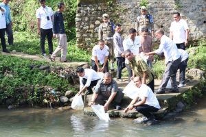 Bupati Tapsel Tabur Ribuan Benih Ikan di Angkola Selatan 