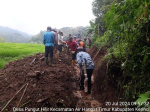 Saluran Irigasi D.I Pungut Hilir,Tertimbun Longsor Puluhan Hektar Sawah Kekeringan Petani Antisipasi Gagal Panen