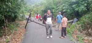 Tiang Listrik Tumbang Arus Lalu Lintas Sempat Macet, Beberapa Desa Terancam Tanpa Aliran Listrik 