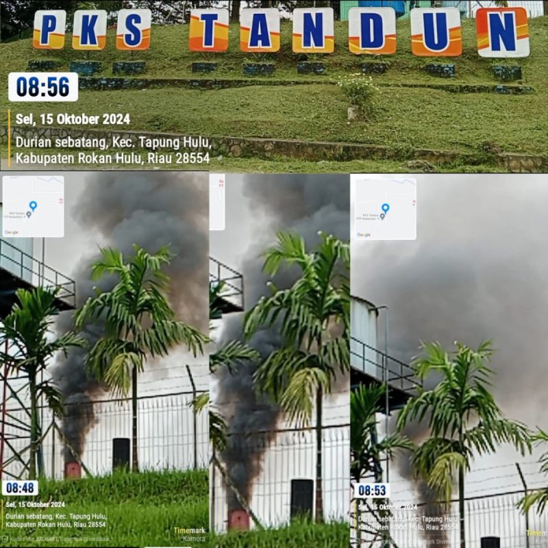Asap Hitam dan Bau Tak Sedap dari PKS Tandun Diduga Berdampak Polusi Udara dan Gangguan kesehatan Masyarakat, APH Diminta Bertindak.