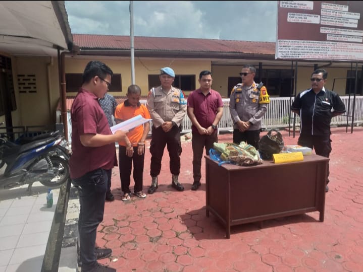 Polres Taput Musnahkan Barang Bukti Narkoba Jenis Ganja Seberat 2 Kg