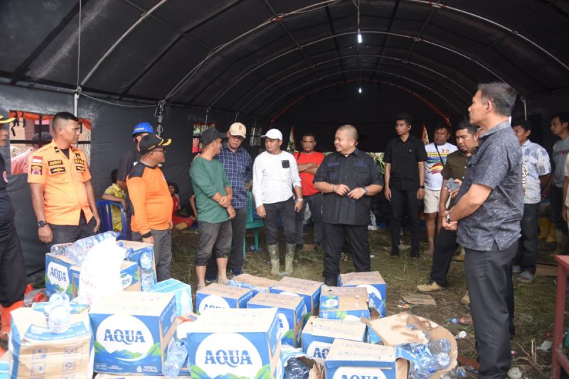 Dolly Tinjau Wilayah Yang Terdampak Banjir Bandang di Tapsel  
