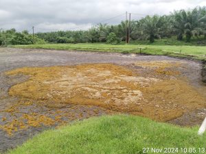 Gawat….Diduga Puluhan Ton Minyak Kelapa Sawit PKS Terantam Memenuhi kolam Penampungan Limbah.