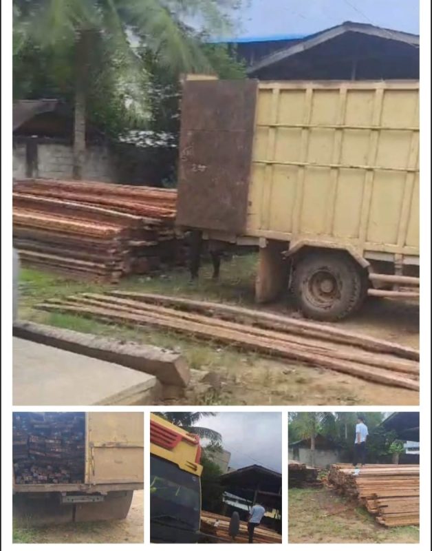 Maraknya Ilegal logging Di Rohil, APH Diminta Jangan Tutup Mata