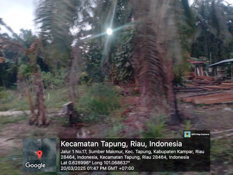 Diduga Usaha Pengolahan Kayu Milik Pak Dwi Menggunakan Kayu Ilegal