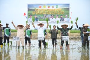Wabup Rohil Tinjau Pabrik Kilang Padi di Rokan Baru, Dorong Revitalisasi dan Penguatan Sektor Pertanian
