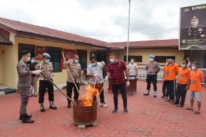 Polres Tapanuli Utara Musnahkan Barang Bukti Narkoba Jenis Ganja