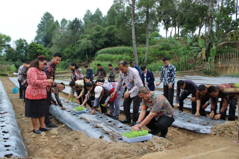 KaLapas Kelas IIB Siborong-Borong Aktif Bercocok Tanam Di Area Ketapang Lembaga Pemasyarakatan