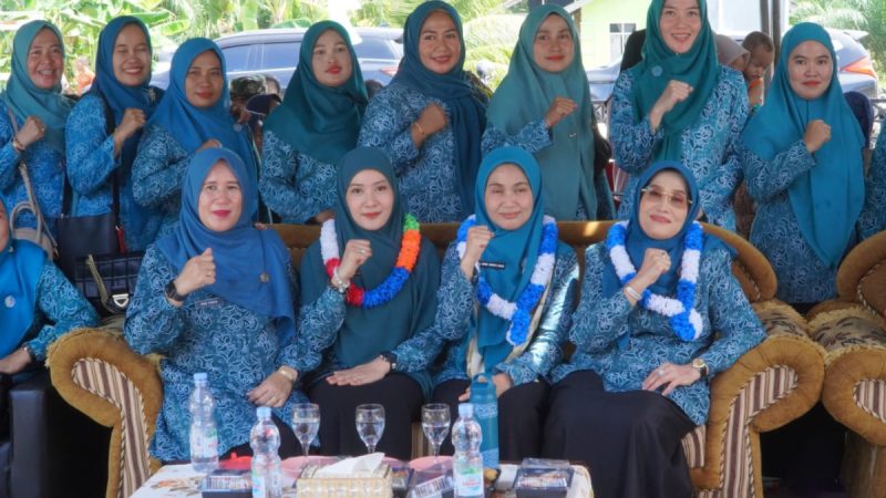 TP PKK Riau Apresiasi Kiprah dan Transformasi Posyandu di Rokan Hilir