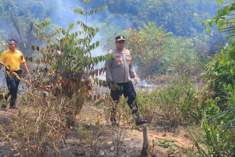Kapolres Kampar Tinjau Lokasi Karhutla di Perbatasan 50 Kota, Api Berhasil Dipadamkan!