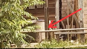 PJS Berduka, Waka DPD PJS Babel Diduga Dibunuh, Jasad Dibuang ke Sumur Kebun