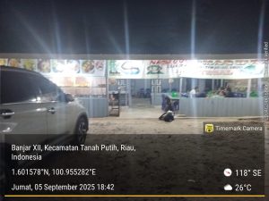 Kerap Terganggu ODGJ, RM Budi Banjar XII Minta Dinsos Rohil Lakukan Penertiban